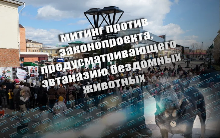 В Иркутск 26 апреля прошёл митинг против законопроекта, предусматривающего эвтаназию бездомных животных